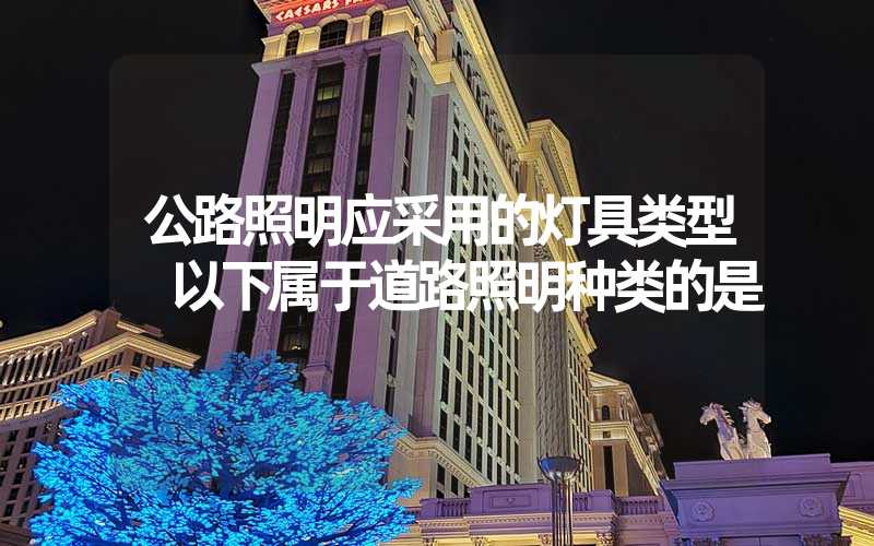 公路照明应采用的灯具类型 以下属于道路照明种类的是